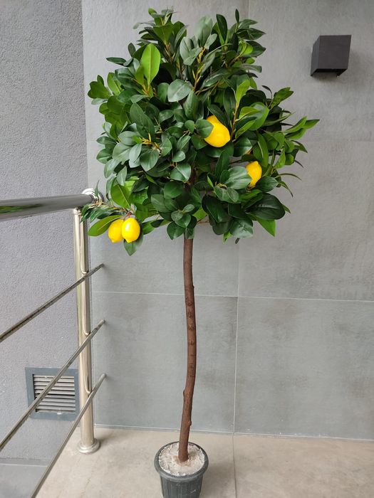 Искусственные деревья и растения