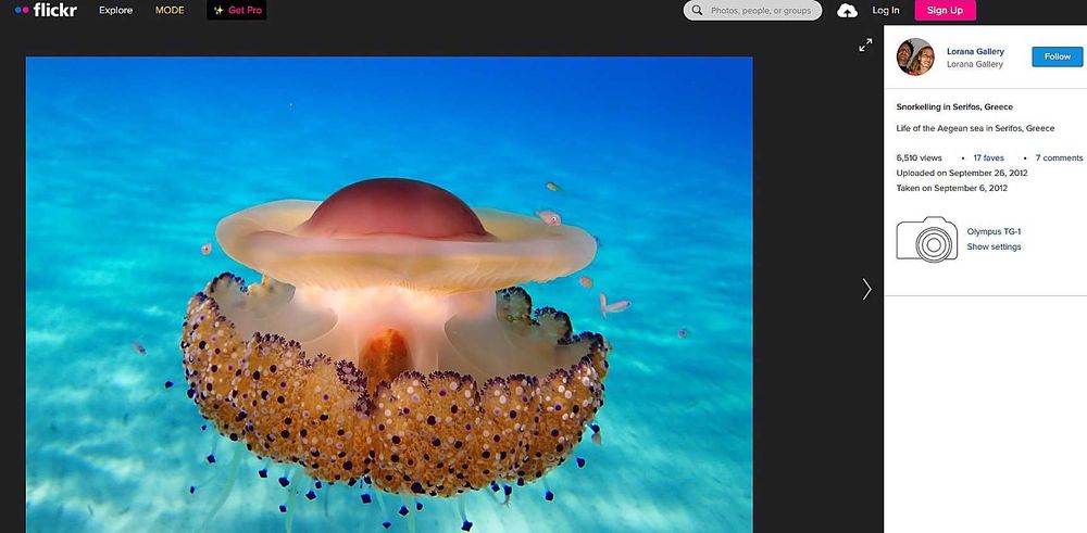 Фотоапарат Olympus TG - водоустойчив, удароустойчив, супер макро режим