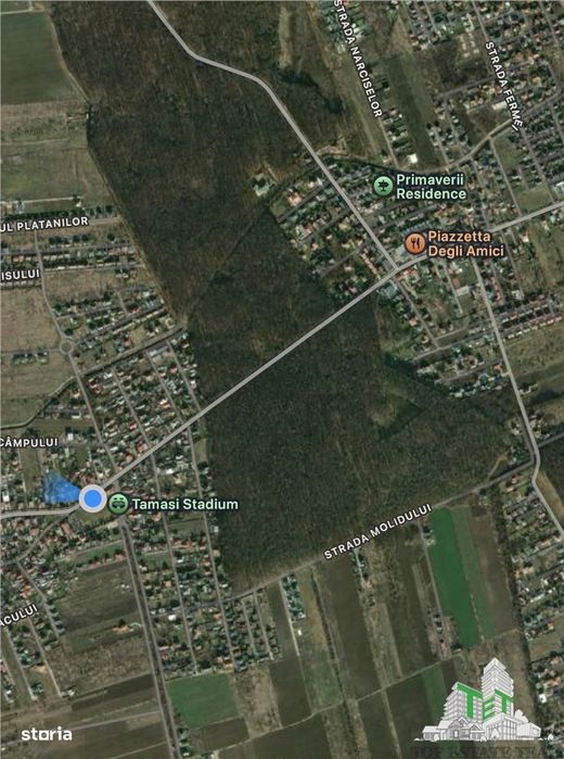 Teren de vanzare langa padure| Tamasi, Corbeanca | 1170mp