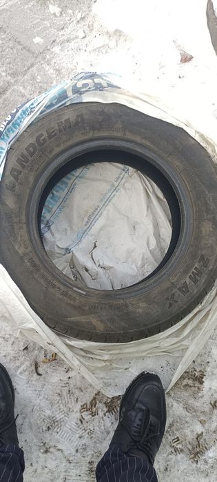 Шины баллоны летние