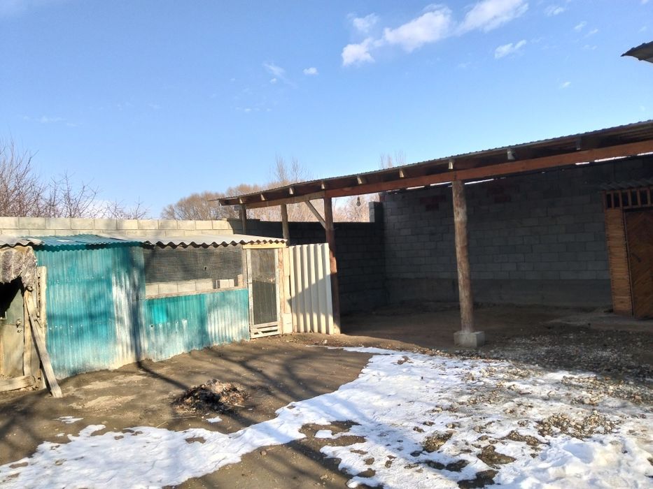 Дом м.ниязова 135