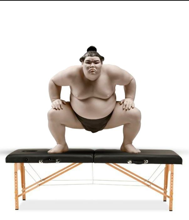 Массажный стол! Массажная кушетка! Кушетка! Чемодан!