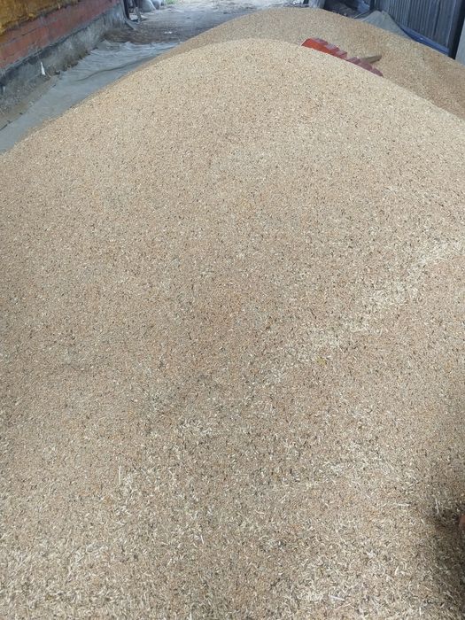 Продам пшеничные отдоходы мешками