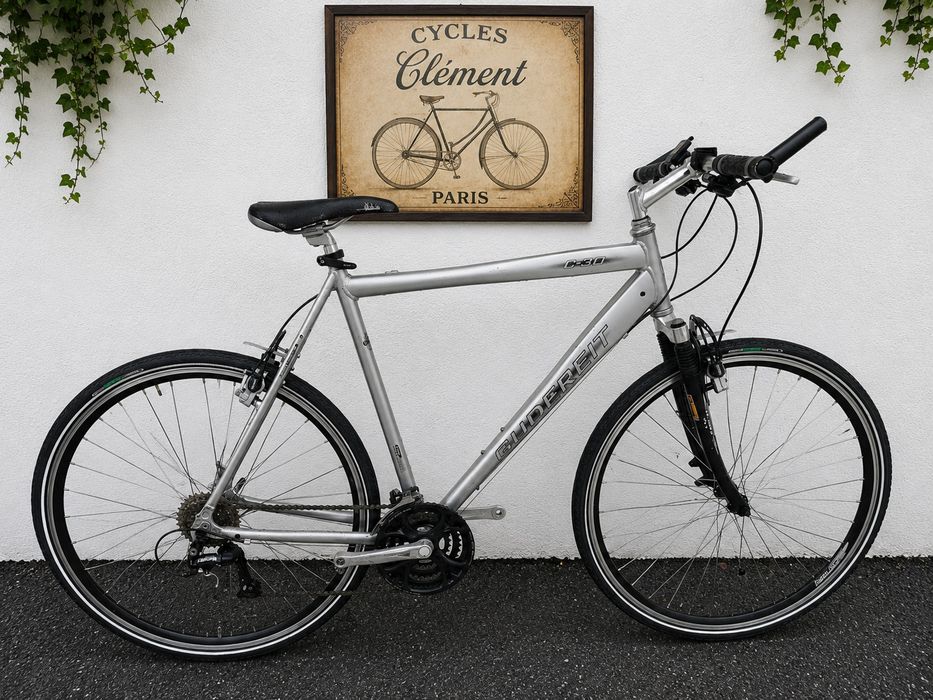 Bicicleta Gudereit cadru XXL