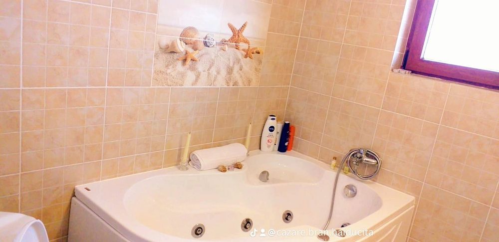 Ofer Cazare turism  Bran Brașov