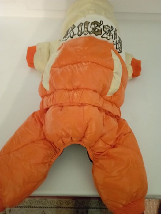 Комбинезон для питомца