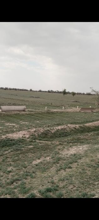 Продам землю 50 гектаров