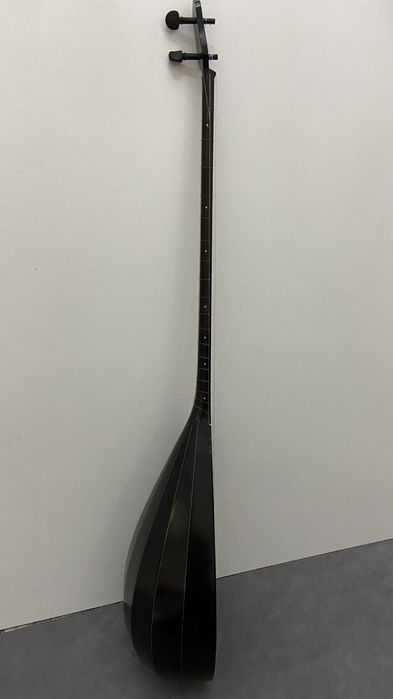 Кәсіби, концерттік домбыра