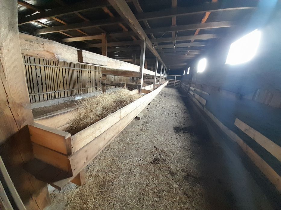 Дом 16 соток пригороде мини ферма