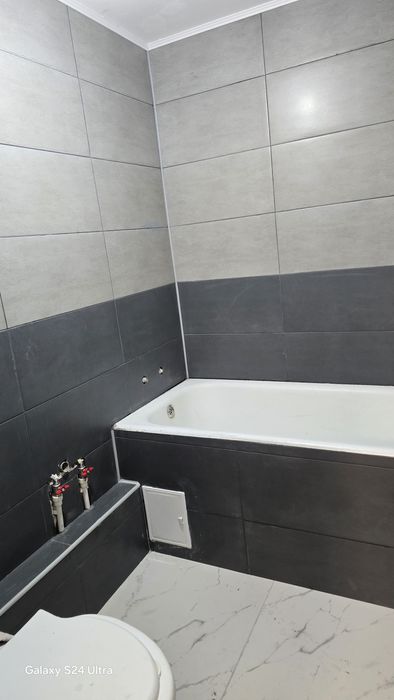 Faianțar  zugrav,  particular