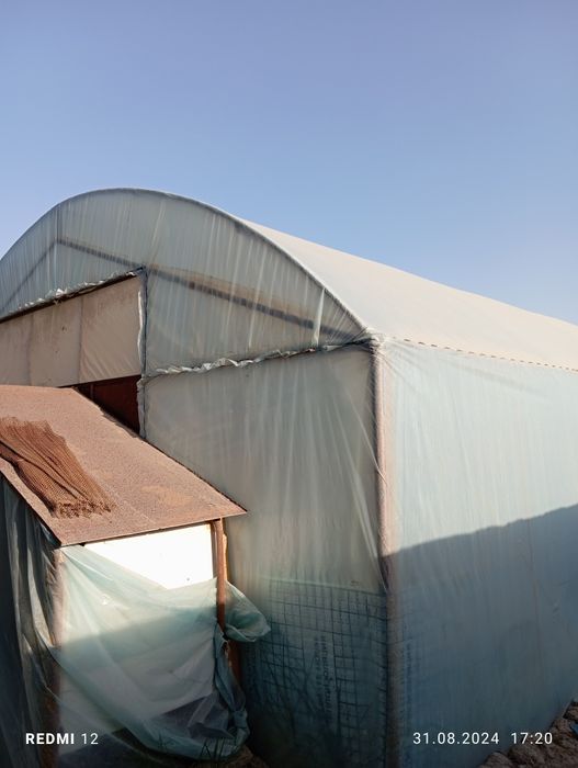 Иссикхона уголникдан