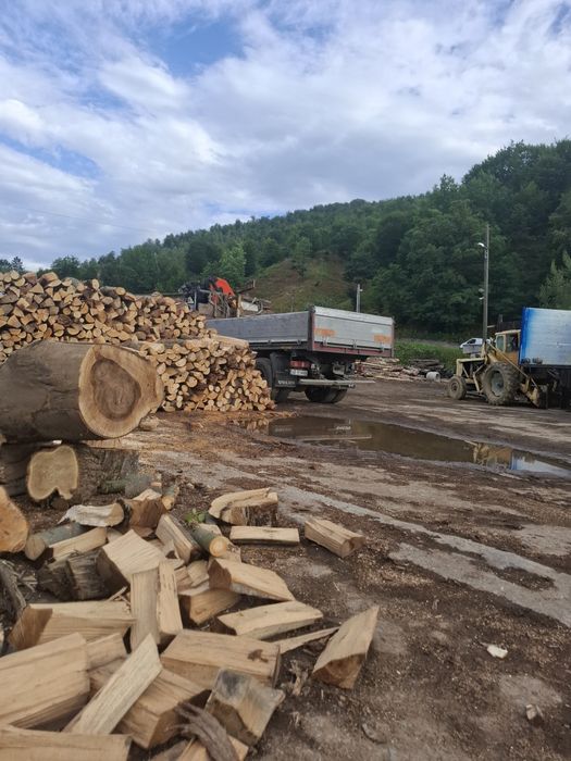 Lemn foc fag buștean  340 lei sterul
