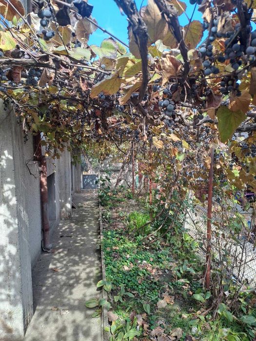 Продава се Къща в Добрич, Пинета - 70 кв.м за 838 €/кв.м - Снимка #8