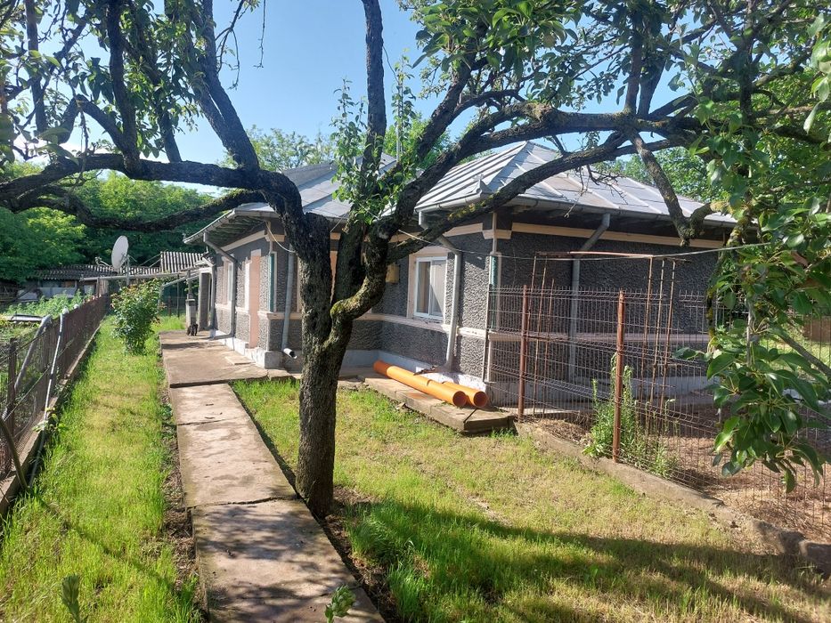 Casa de vânzare cu 2400 mp și pădure de salcâm 3200mp