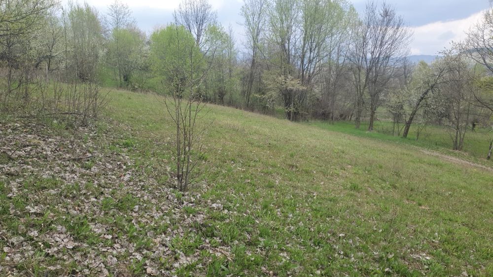 (lângă horezu) – ansamblu terenuri 9.364