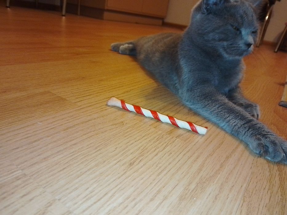 Малко Британче .