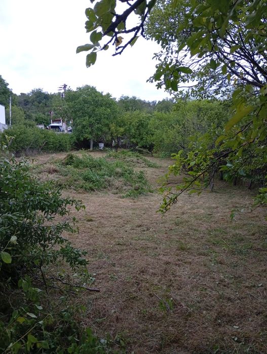 Executam defrișări, toaletări copaci,cosit iarba.Realizam debarasări