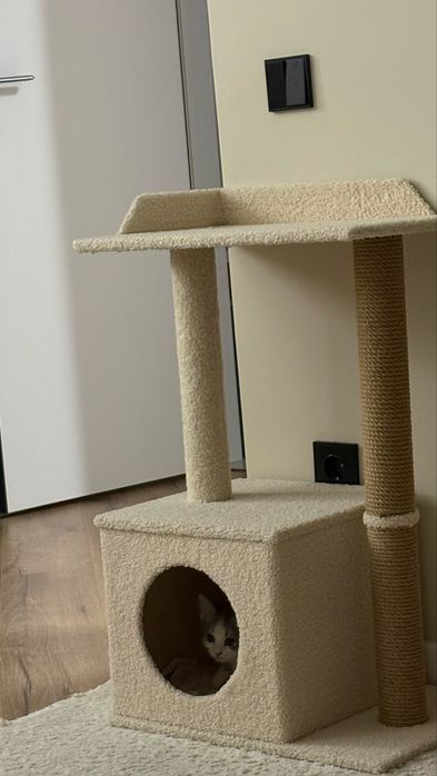 Домик когтегочка для кошек