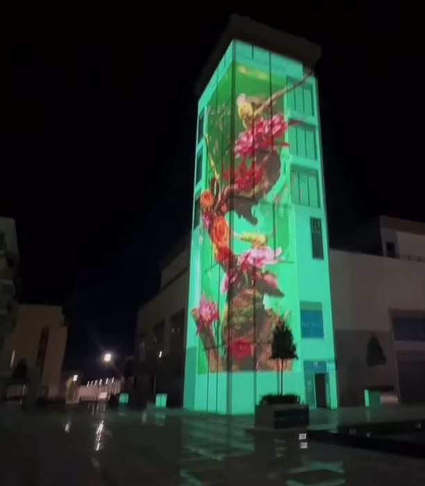 Люкс апартамент в горах