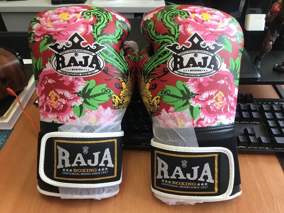 Перчатки боксерские Raja boxing