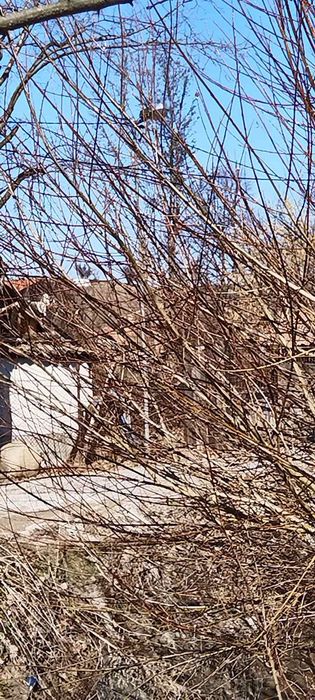 Продава се Къща в с. Дивотино, Област Перник - 50 кв.м за 600 €/кв.м - Снимка #3