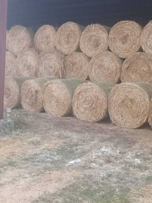 Продавам бали сено, бали сено и люцерна