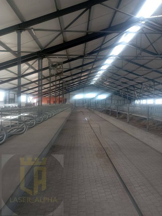 Строительство Ферм(МТФ)