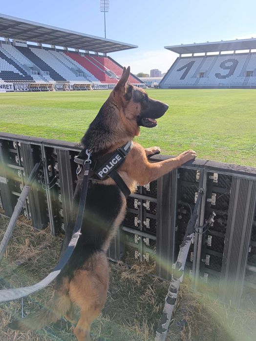 Страхотни малки НОК