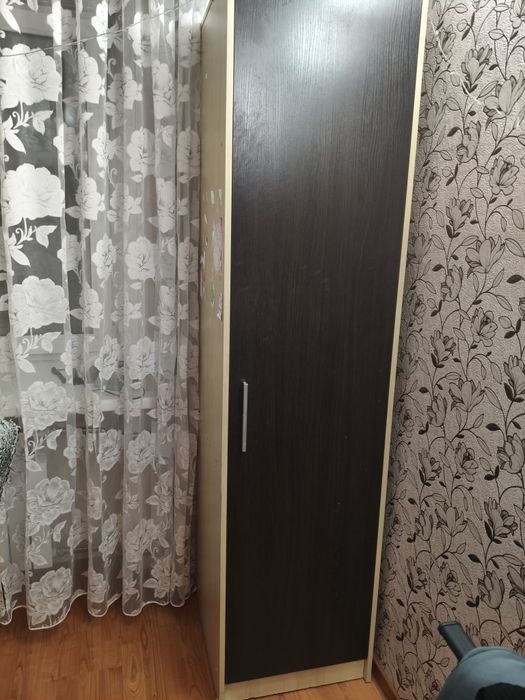 Отдам ! Даром! Срочно!