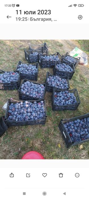 Продава се Къща в с. Асеновци, Област Плевен - 60 кв.м за 192 €/кв.м - Снимка #7