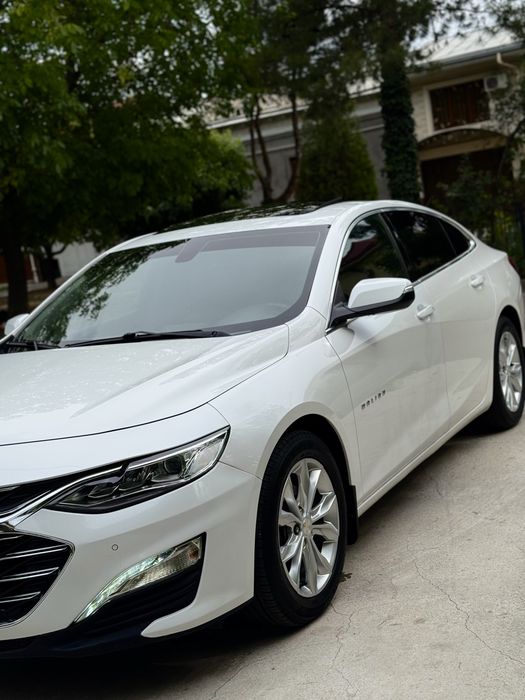 Malibu 2 Primer qilingan 2.4 Tayyor