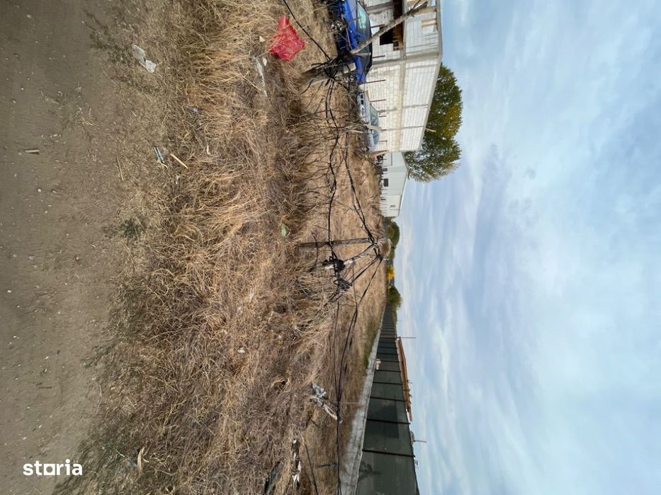 Teren intravilan Nanov 1000 metri patrati - Intrare Alexandria