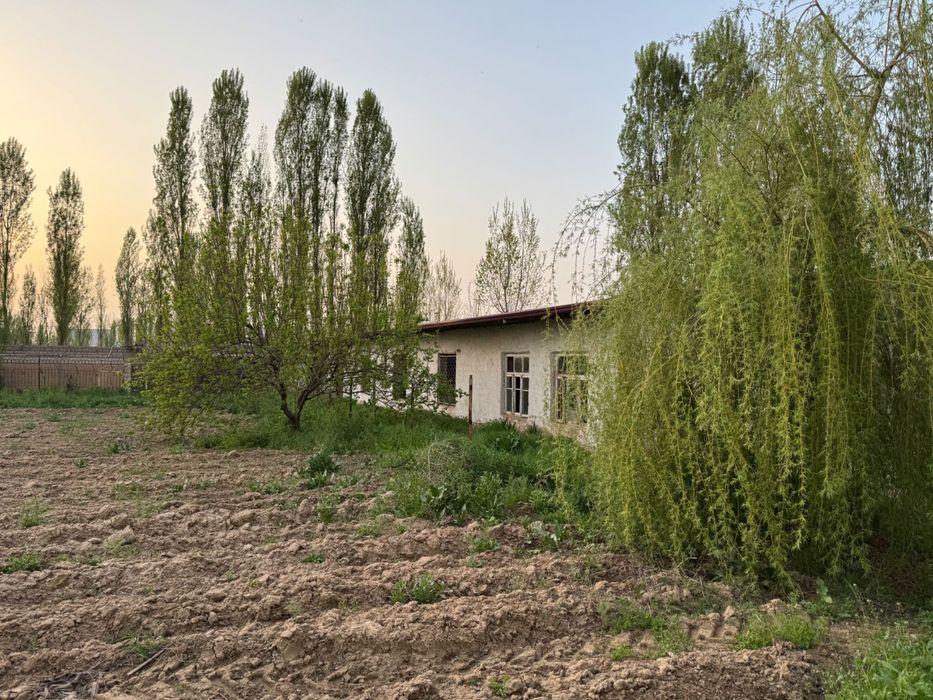 Yangiyolda 20 sotik ferma sotiladi hama sharoit bor