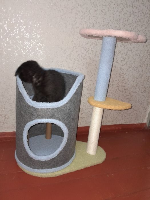 Лежанка, когтеточка для кошек
