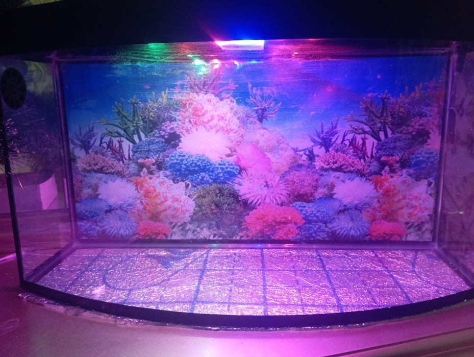 аквариум с подсветкой