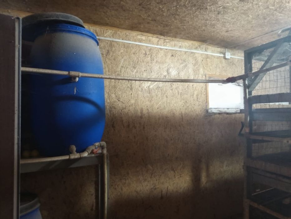 Клетки для содержания