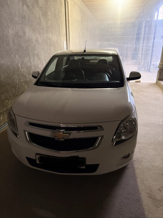 Arenda Cobalt 2025 4 poz