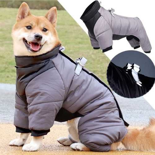 Одежда для собак