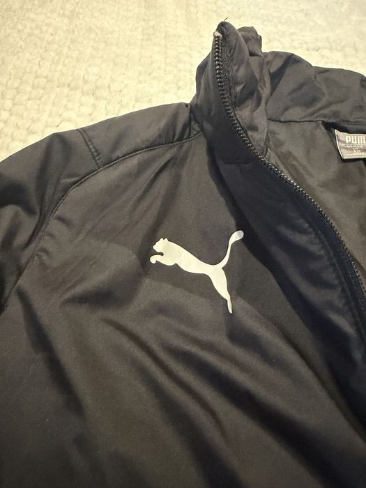 Яке (puma).