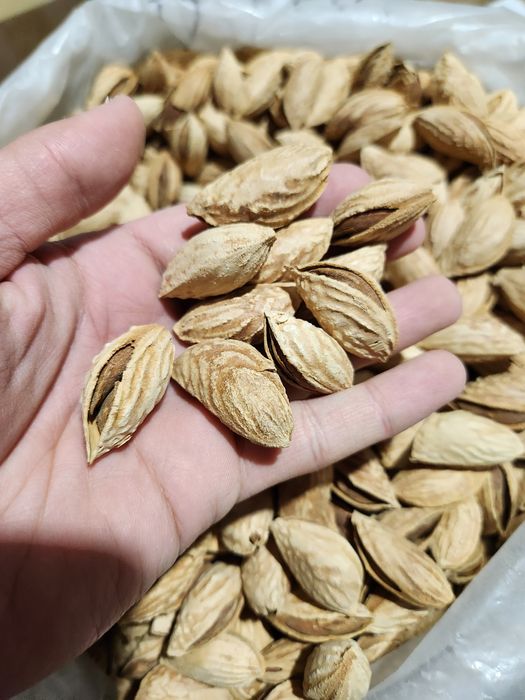 Bodom qaymoq mestniy миндаль каймак местный