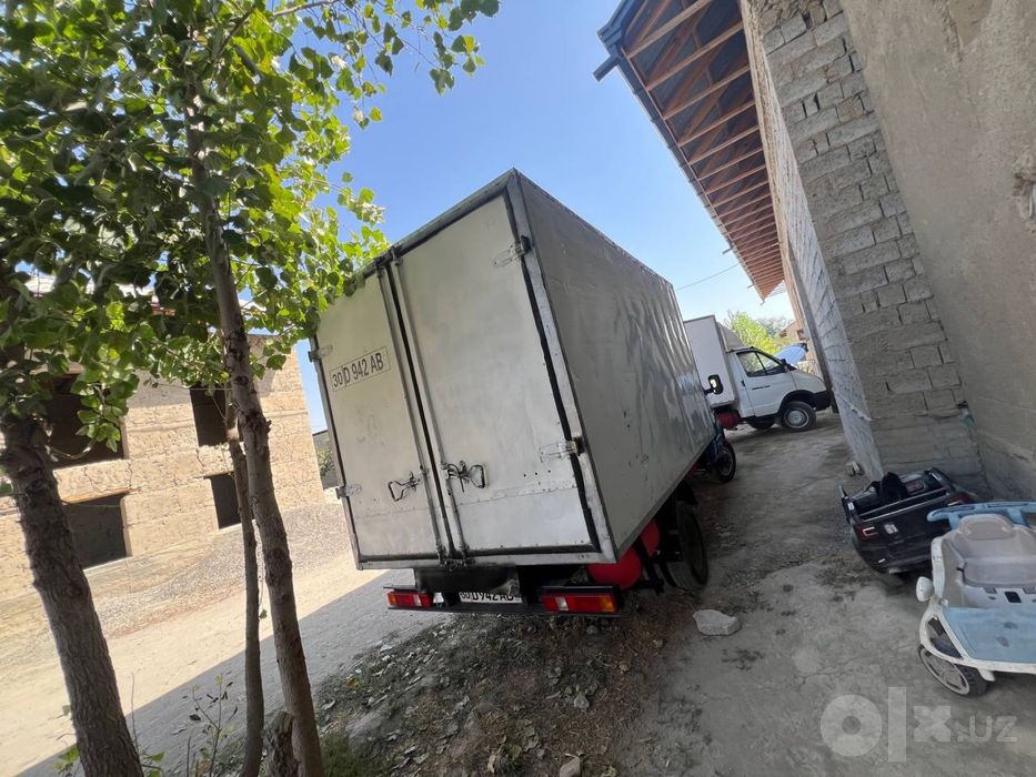 Gazel Bortli 4.20