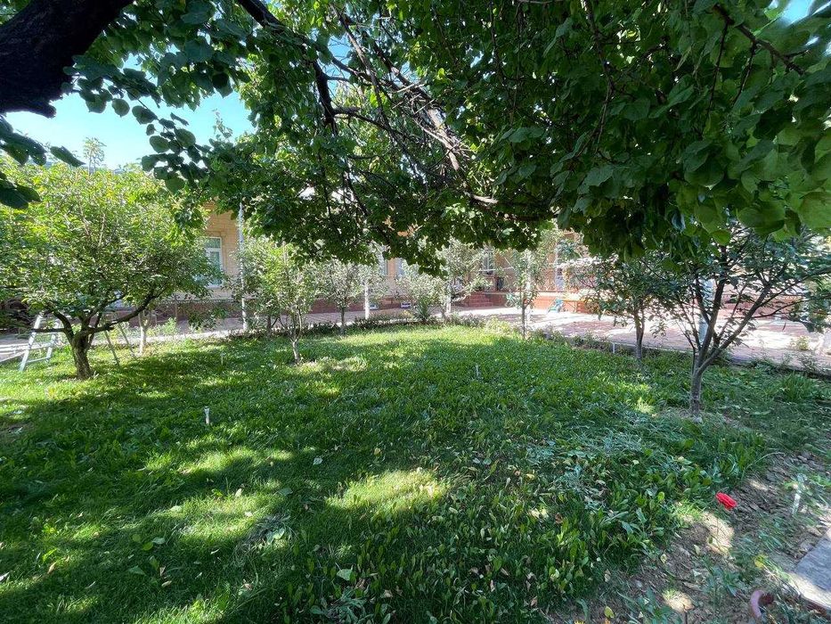 Uchaska srochna sotiladi