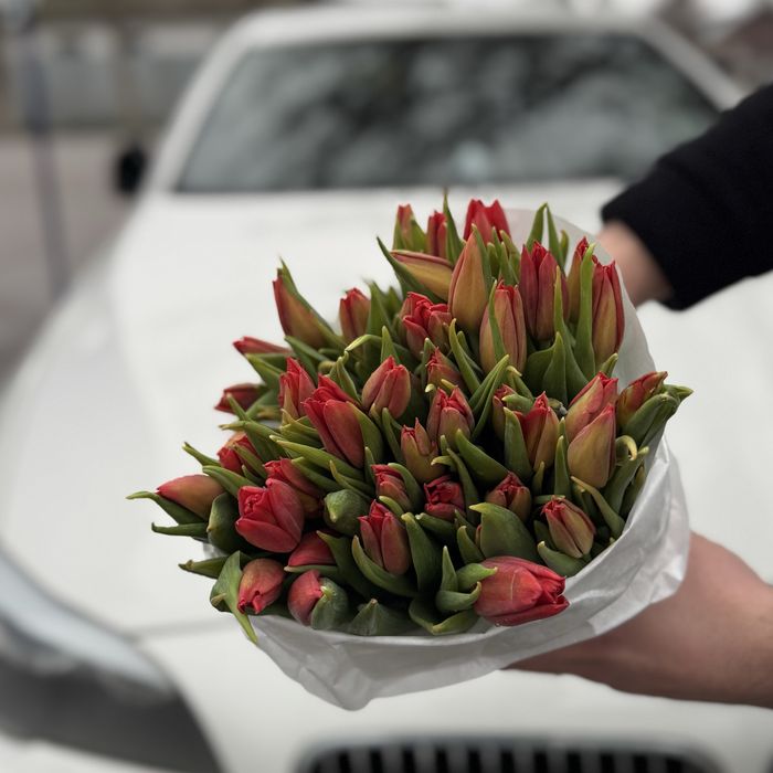 Голландские тюльпаны