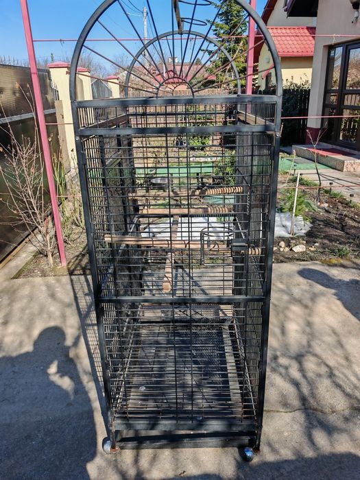 Colivie mare de papagali păsări exotice