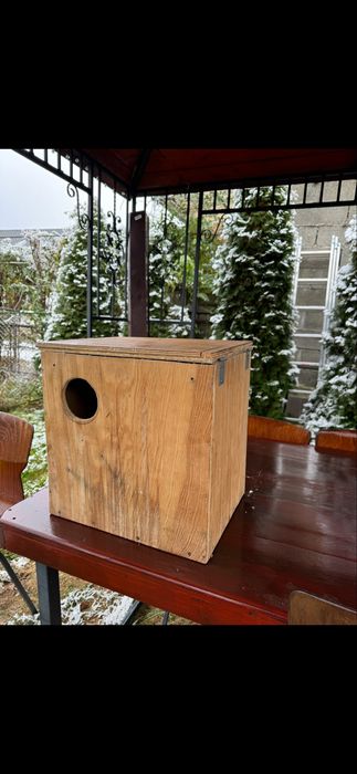 Cuib micul alexandru