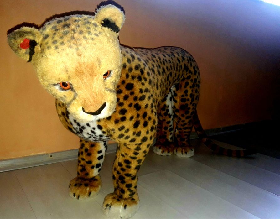 Гепард. 170-60 см.