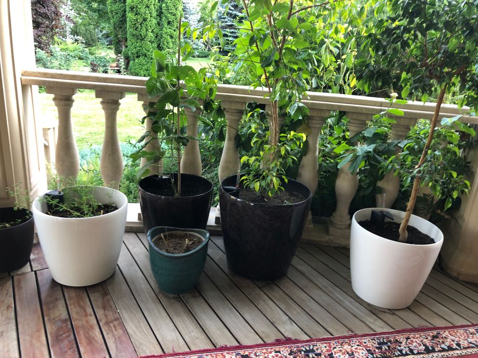 Горшки для цветов