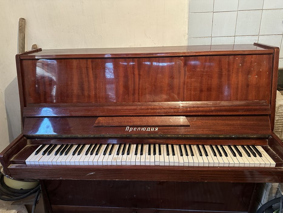 Фортепиано  «Прелюдия»