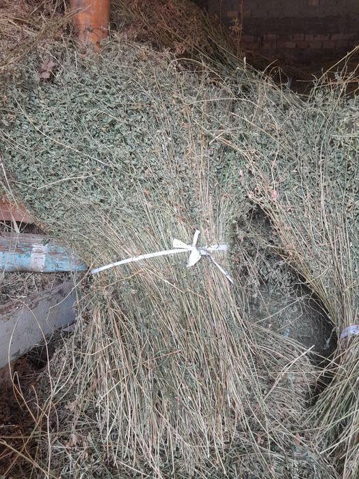 Beda sotiladi 400 bor  15000 Dan kòproq Olinda kelishiladi