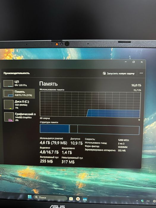 Asus vivobook s16 144герц 2025